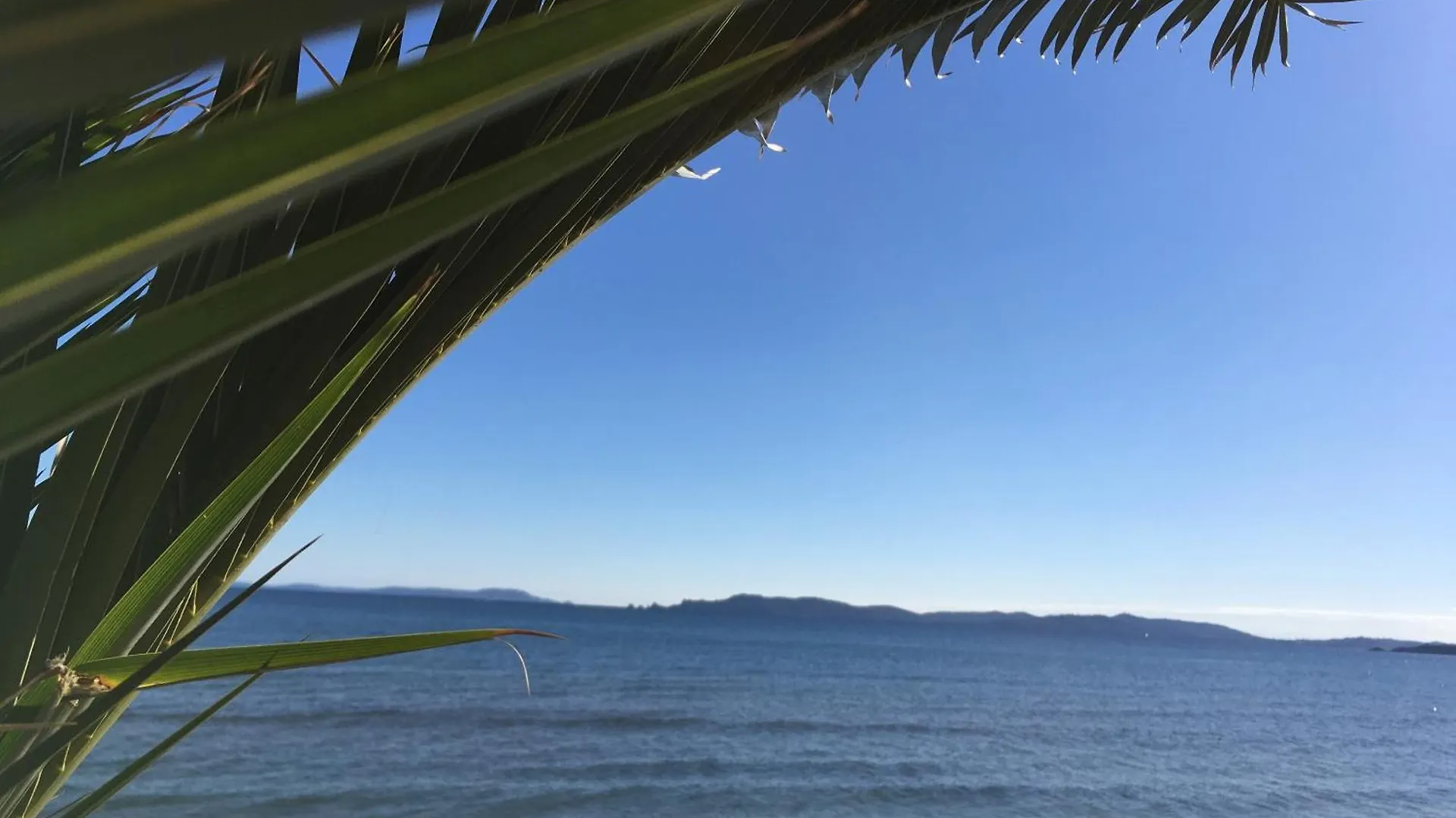 L Annexe Des Sables Villa Hyères